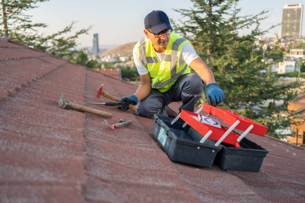 Best Siding Replacement  in Parker, AZ